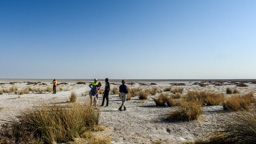 die Pfanne erstreckt sich über 4.760 Km²  bei einer max. Länge von 120 km und einer max. Breite von 55 km