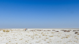 Etosha-Pfanne - ist der Boden eines ehemaligen Sees.  GPS: 19°7'30