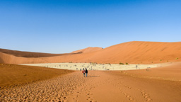 Dead Vlei -  eine meist trockenliegende Endsenke des  Tsauchab, eines der großen blind endenden Trockenflüsse